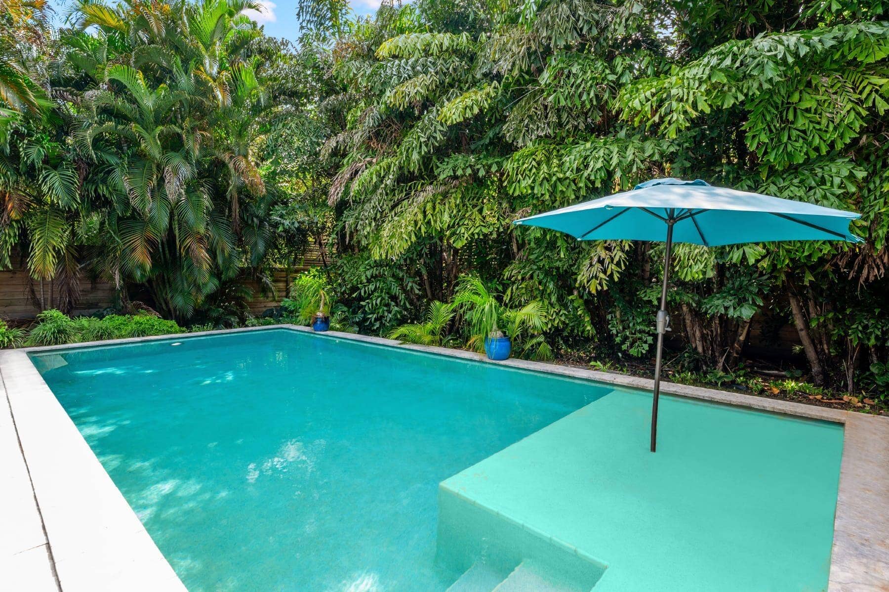 2507 NW 8th Avenue, Wilton Manors, FL 33311 Pool