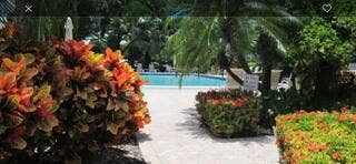 2940 N Course Drive, #903, Pompano Beach, FL 33069 IMG_1645