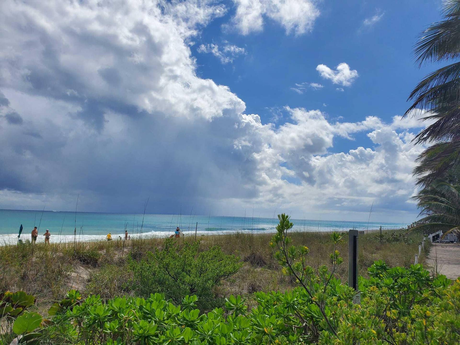 1481 S Ocean Boulevard, #339, Lauderdale By The Sea, FL 33062 WhatsApp Image 2025-03-22 at 10.37.06_d7