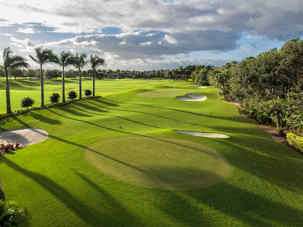 Mizner Practice Areas (1)