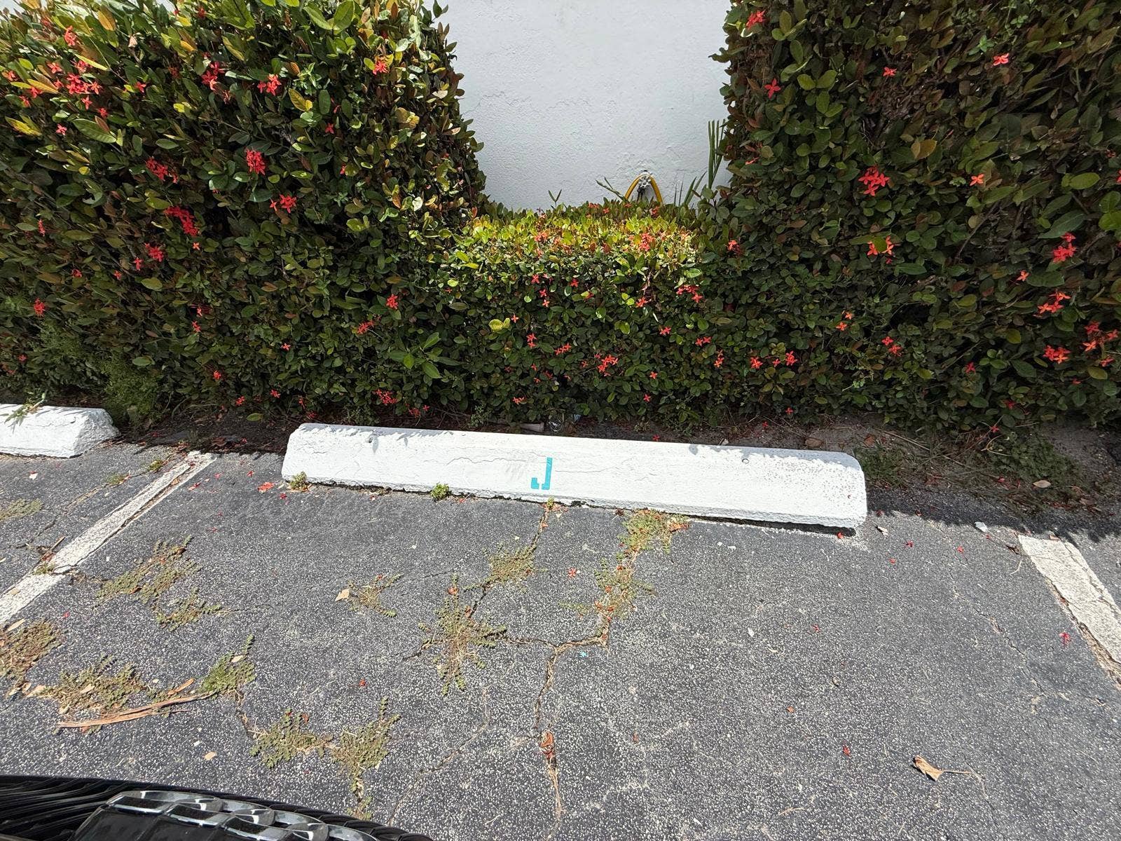 700 Antioch Avenue, #9, Fort Lauderdale, Fort Lauderdale, FL 33304 Parking spot- J