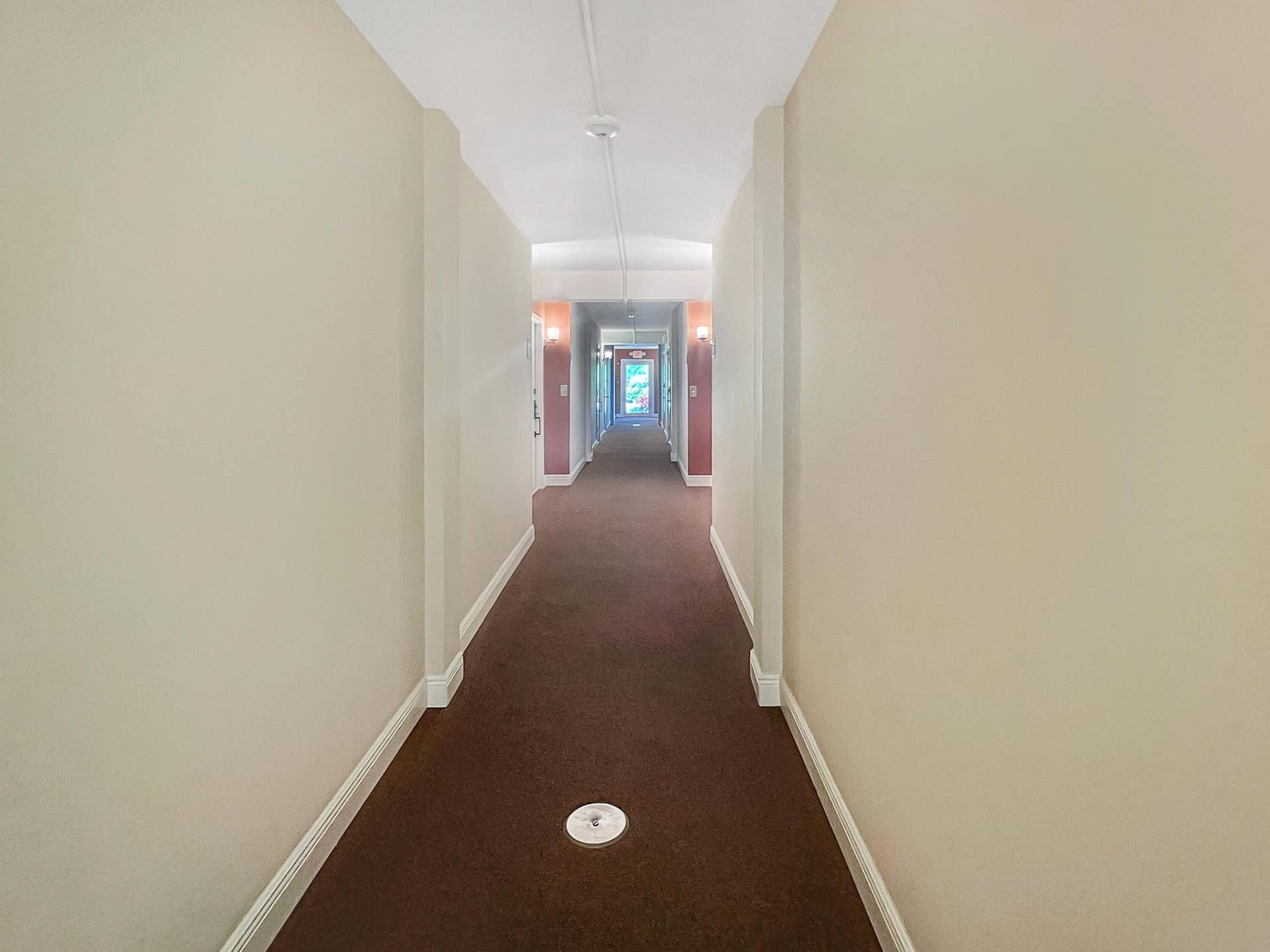 Newer carpet in Hallway