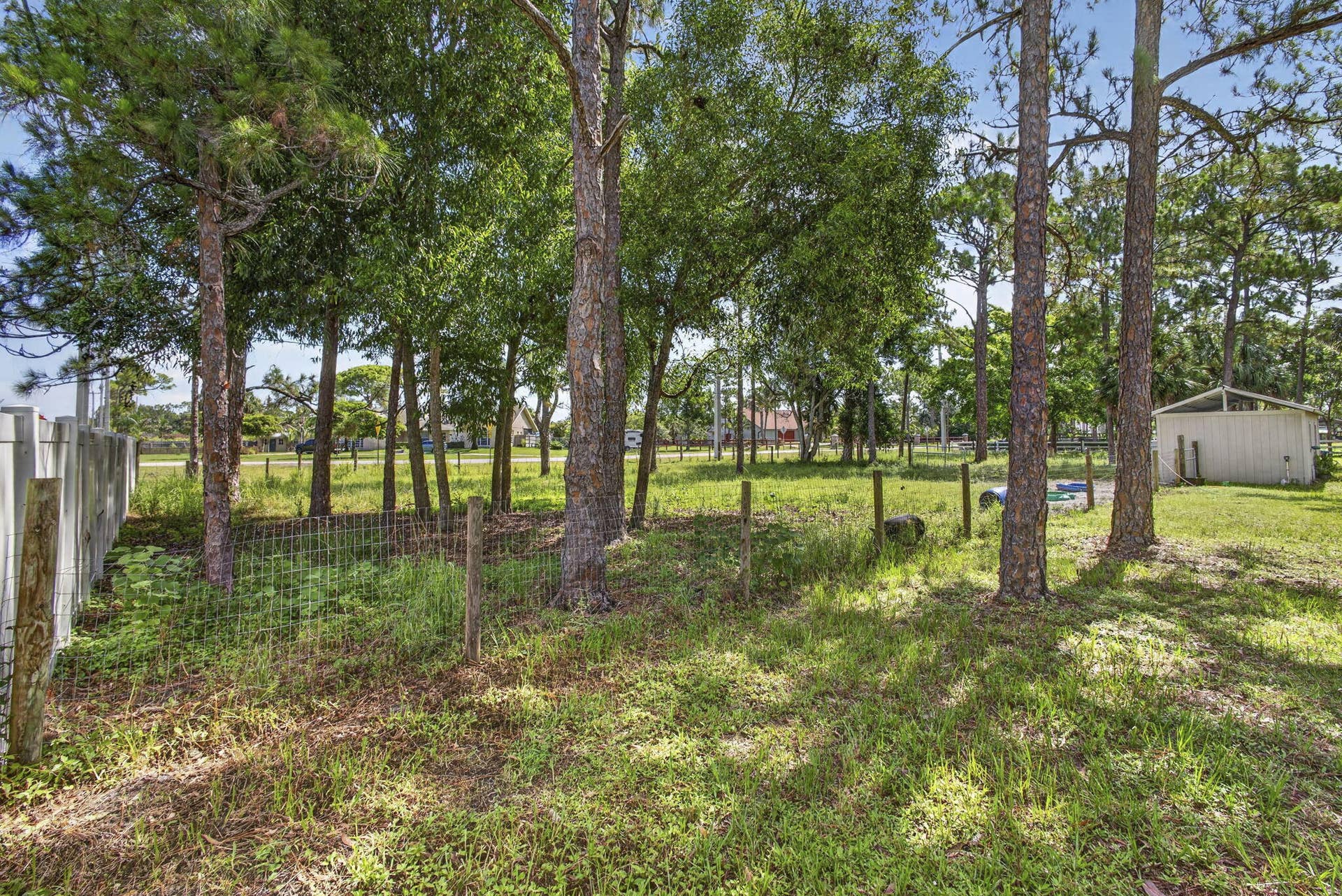 58-web-or-mls-BS1A6074