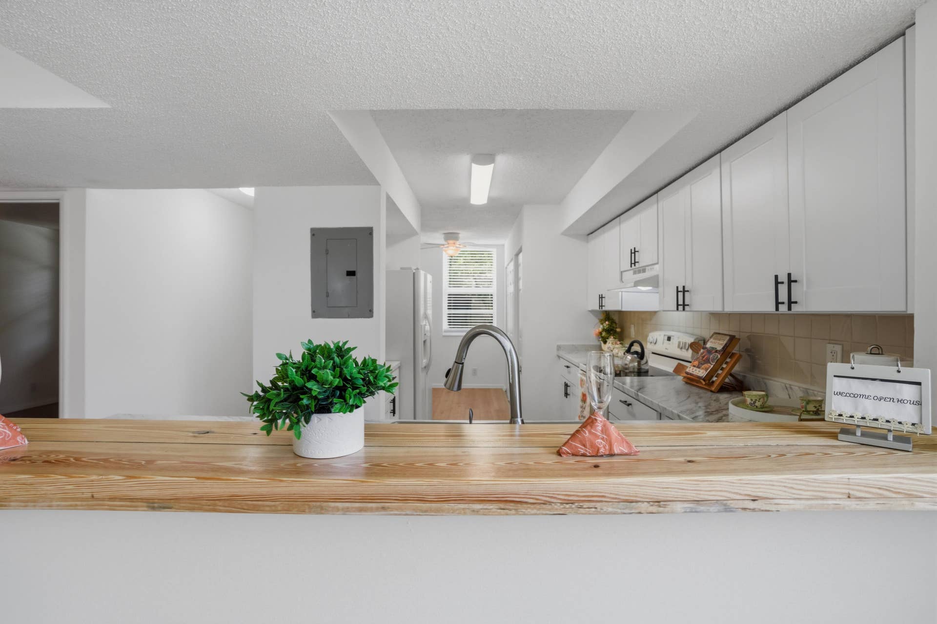 8296 NW 24th Street, Coral Springs, FL 33065 DSC03901 (1)