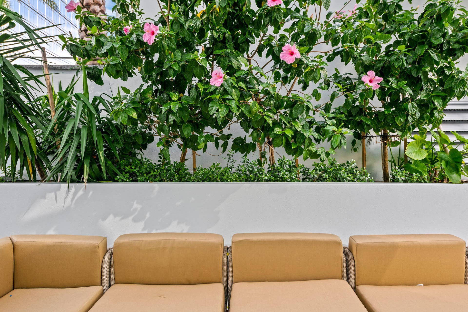 100 E Las Olas Boulevard, #3804, Fort Lauderdale, FL 33301 Integrated planter with diverse foliage, featuring vibrant pink flowering plants and broad-leaf greenery
