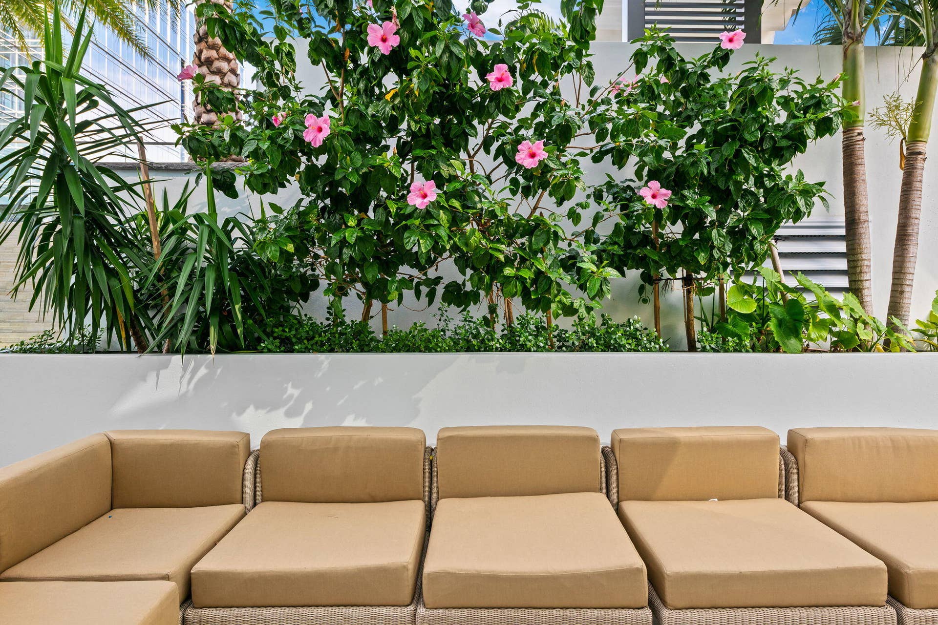100 E Las Olas Boulevard, #3804, Fort Lauderdale, FL 33301 Raised garden bed featuring mature hibiscus plants with pink blossoms, diverse tropical foliage, and palm trees