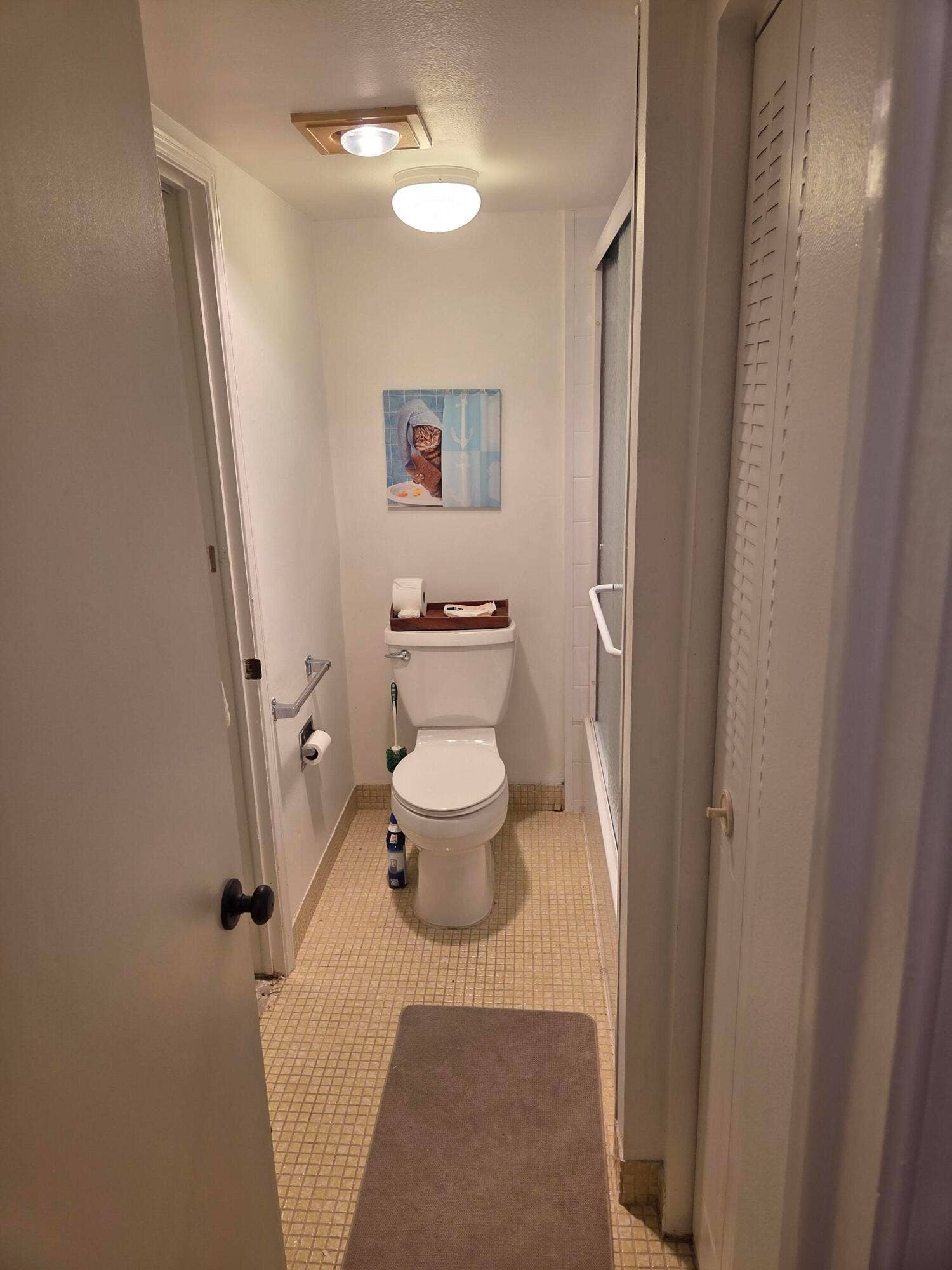Master bathroom and tub area.