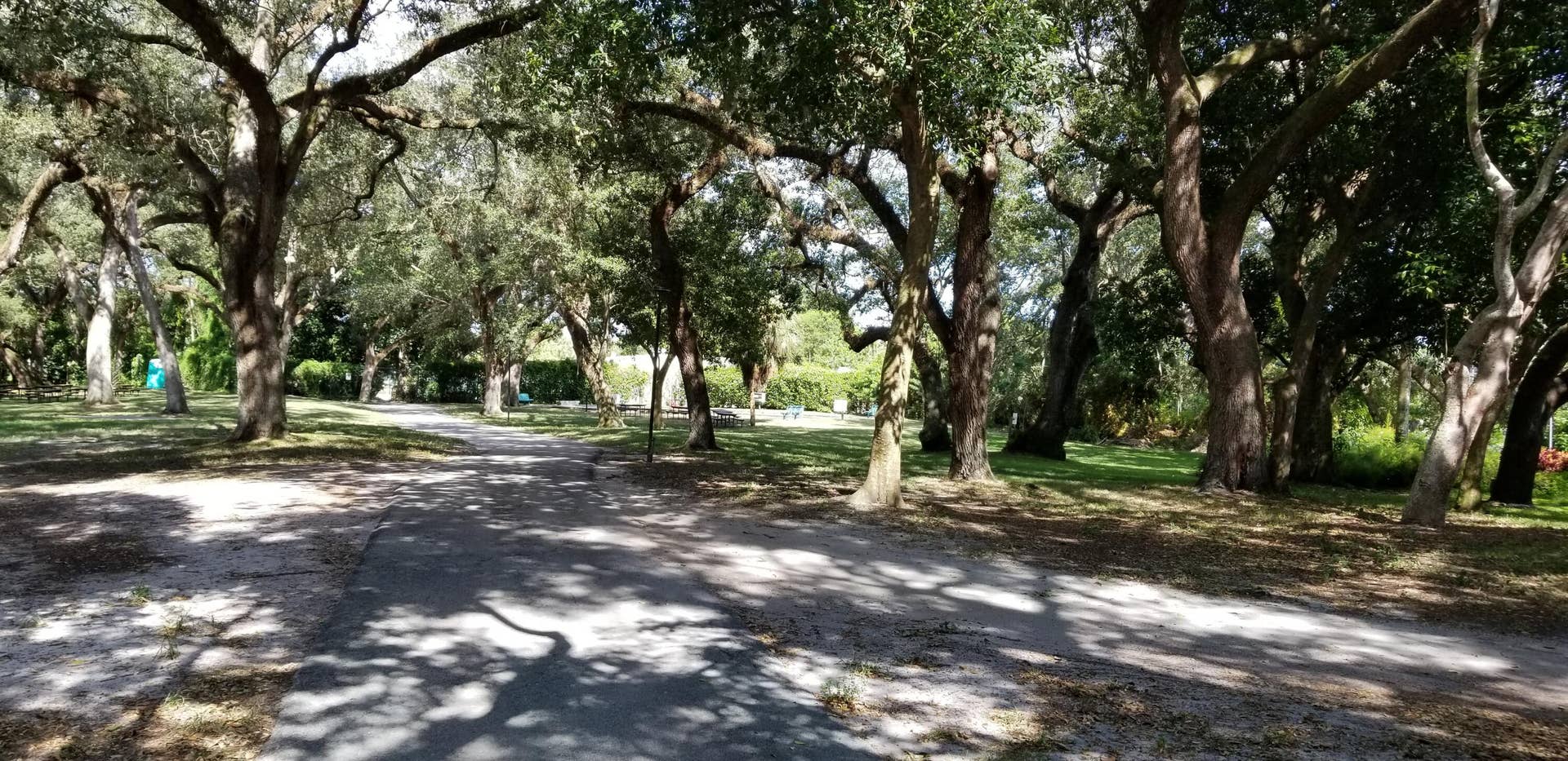 Bocce Ball courts