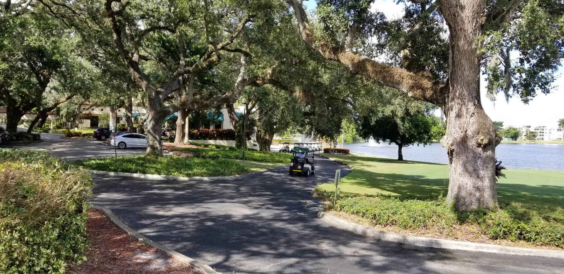 Cart and bag drop off and storage.