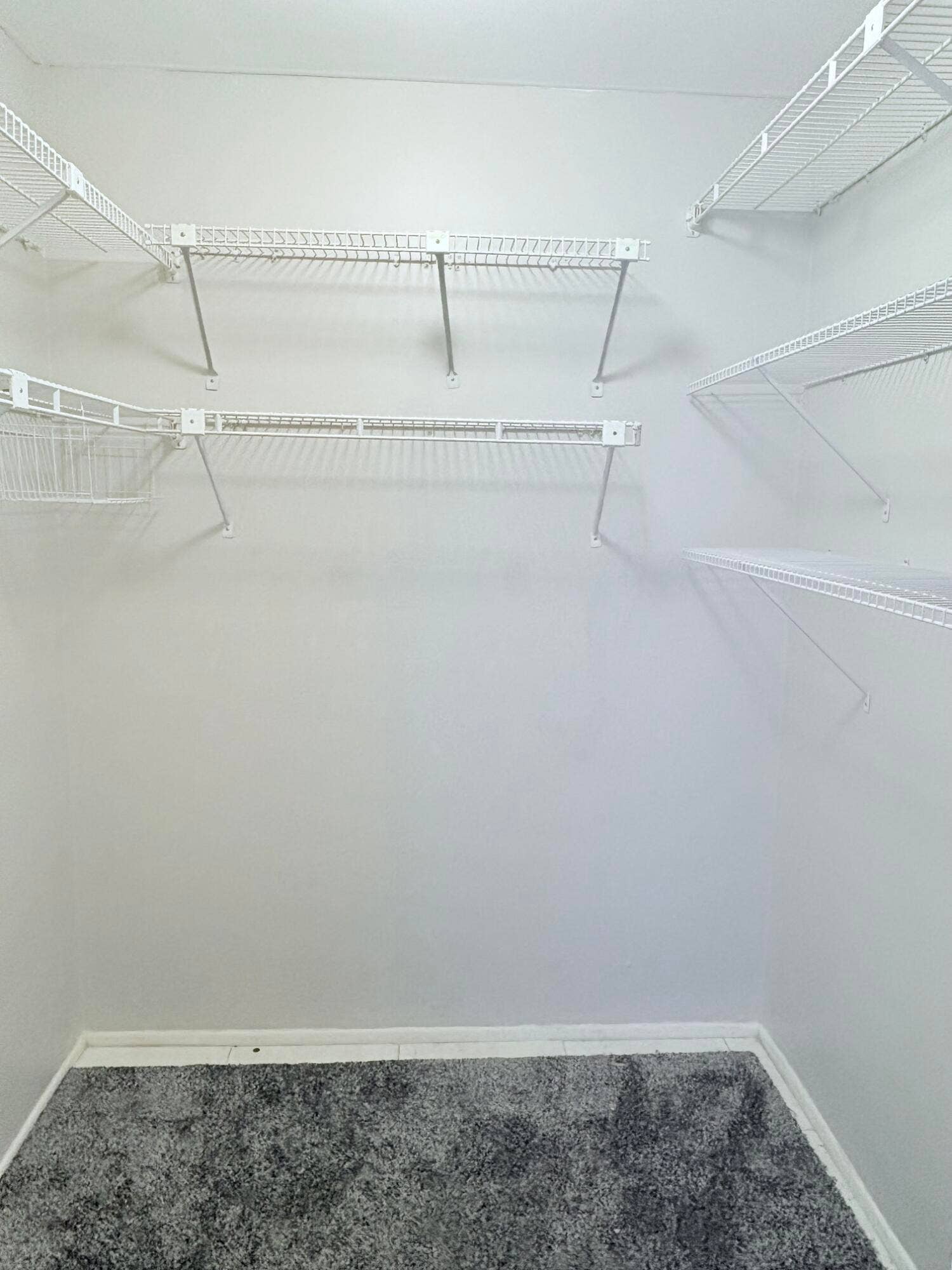 804 Cypress Grove Lane, #508, Pompano Beach, FL 33069 Huge Walk in closet.