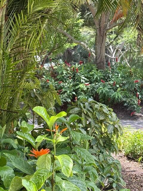 804 Cypress Grove Lane, #508, Pompano Beach, FL 33069 Lush landscaping.