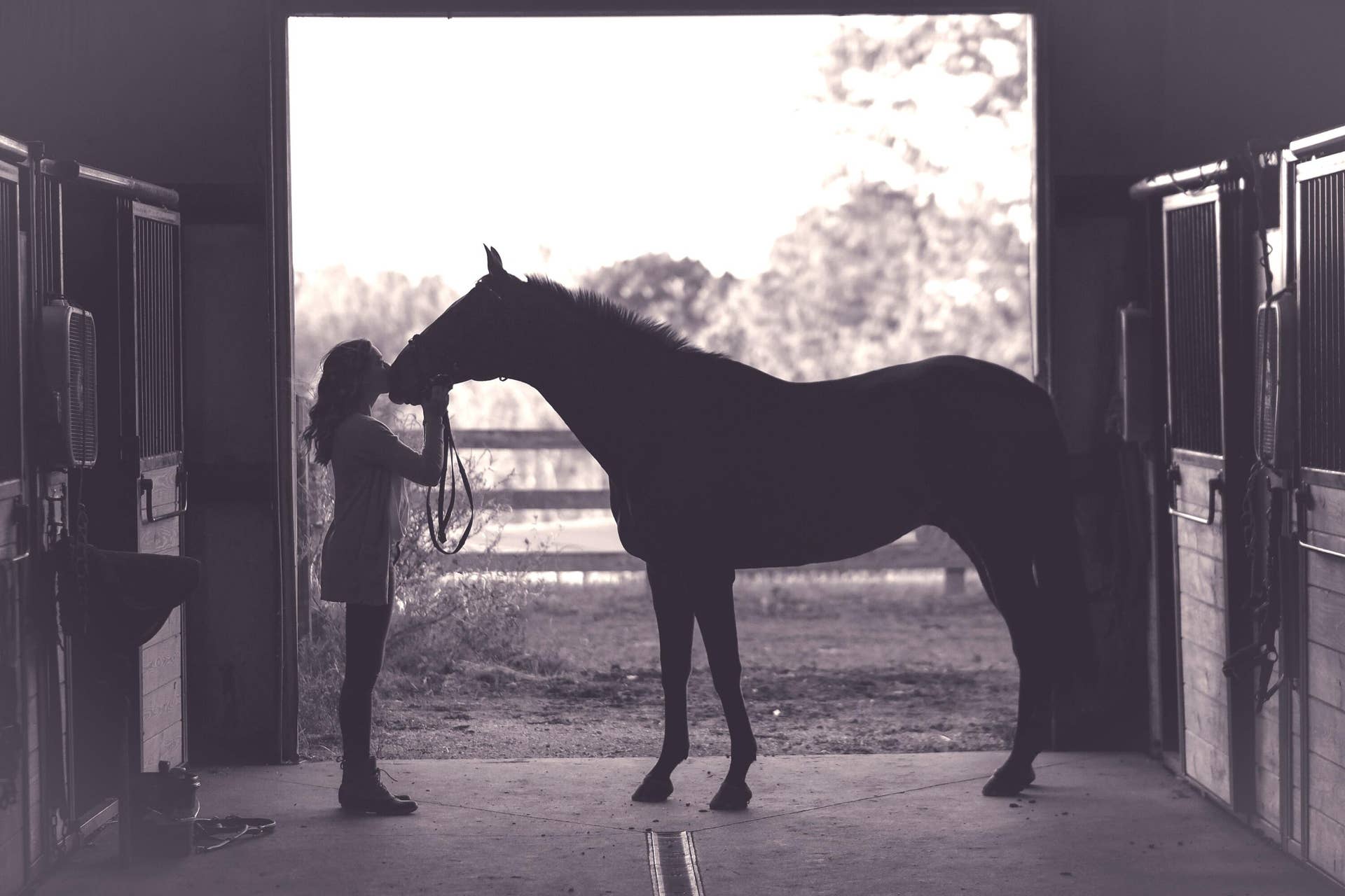 4101 120th Avenue S, Wellington, FL 33449 Equestrian