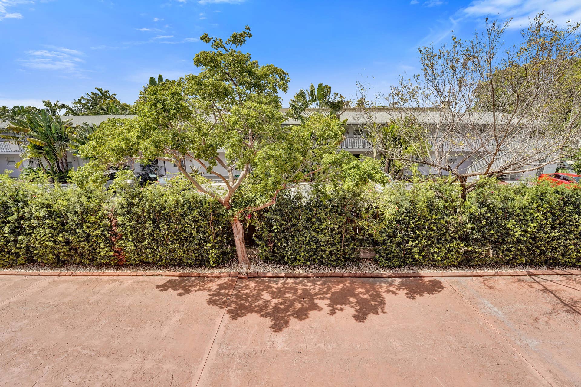 2725 NE 8th Avenue, #104, Wilton Manors, FL 33334 DSC01537