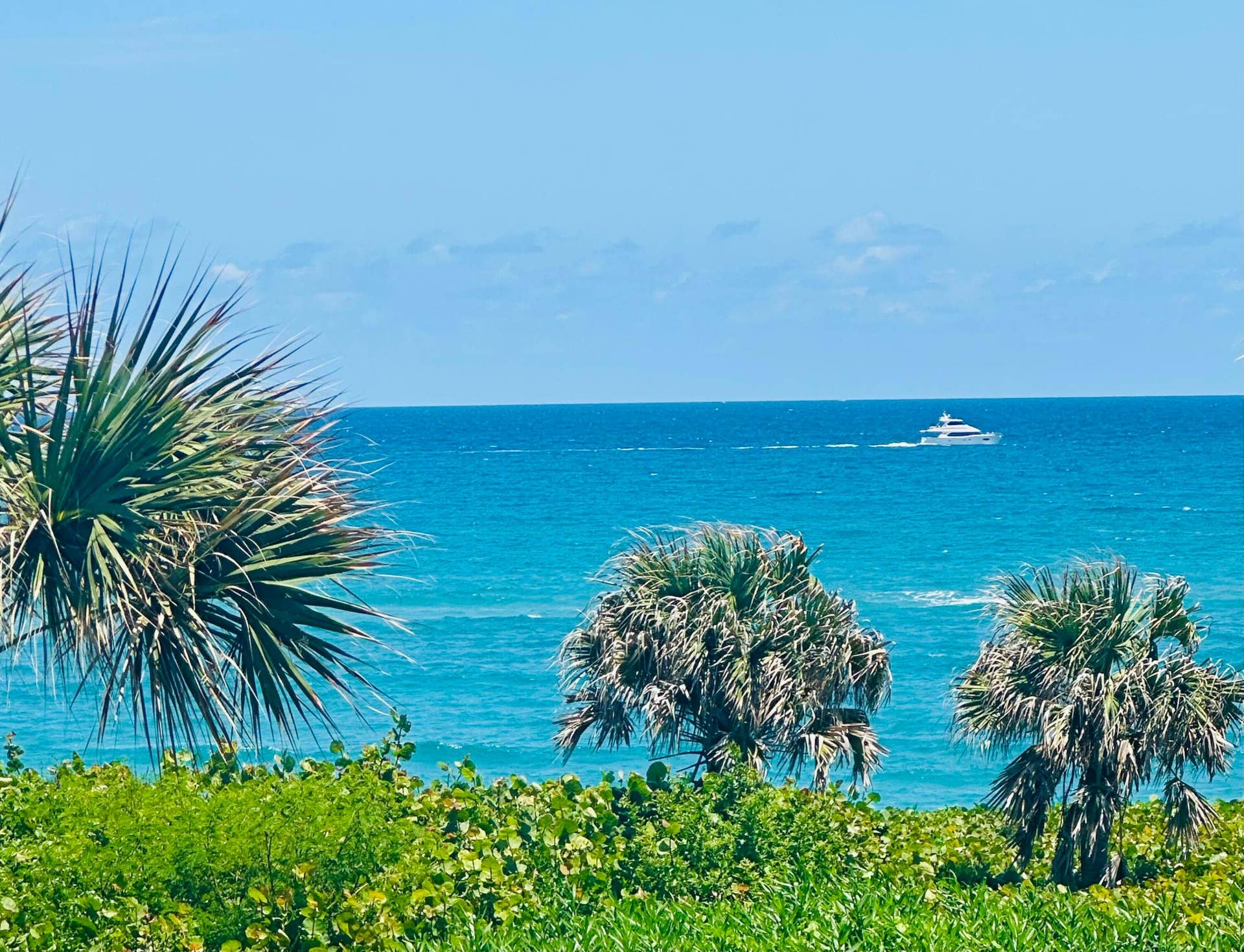 420 Celestial Way, #303, Juno Beach, Juno Beach, FL 33408 IMG_1790