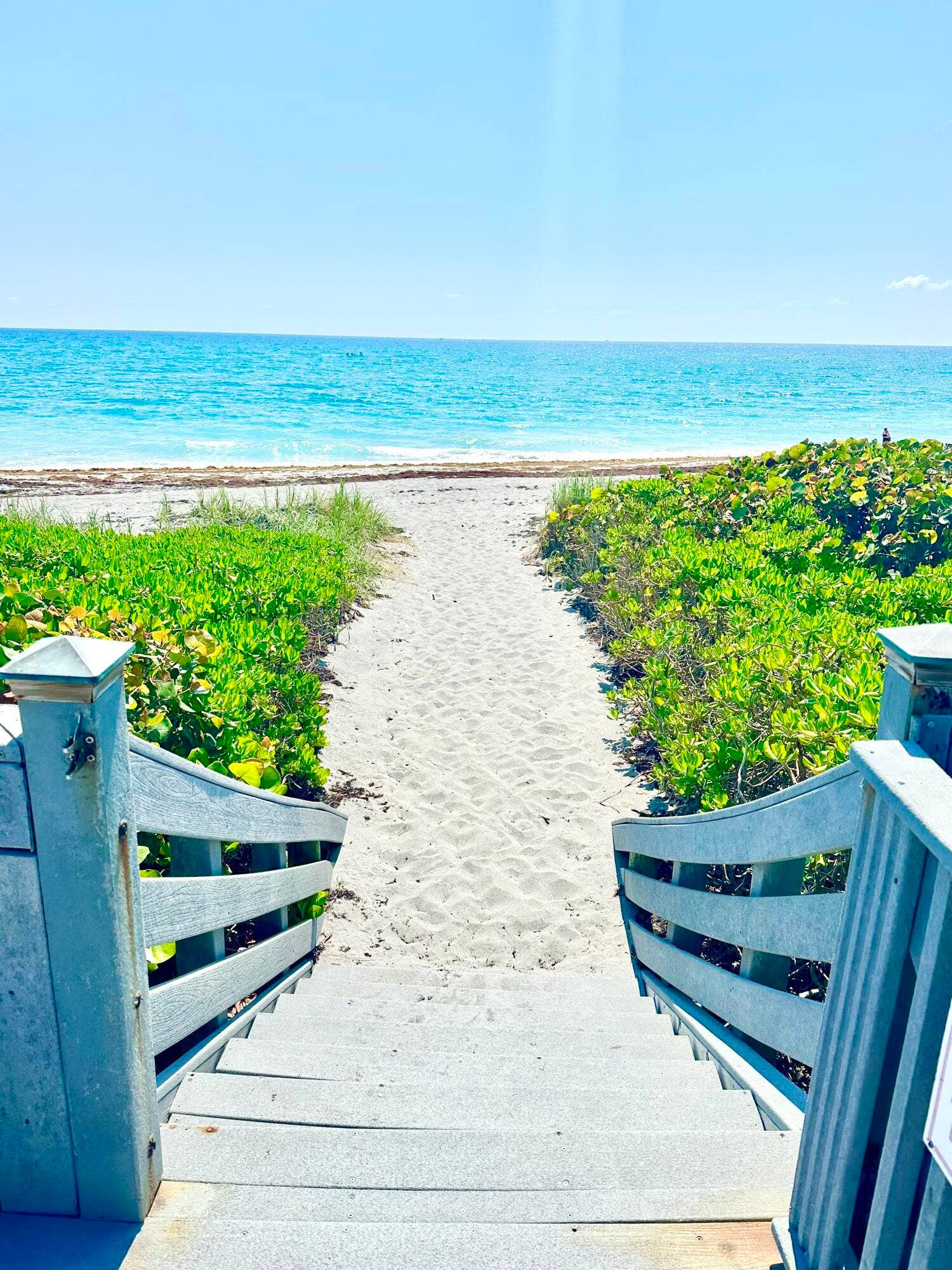 420 Celestial Way, #303, Juno Beach, Juno Beach, FL 33408 IMG_6715