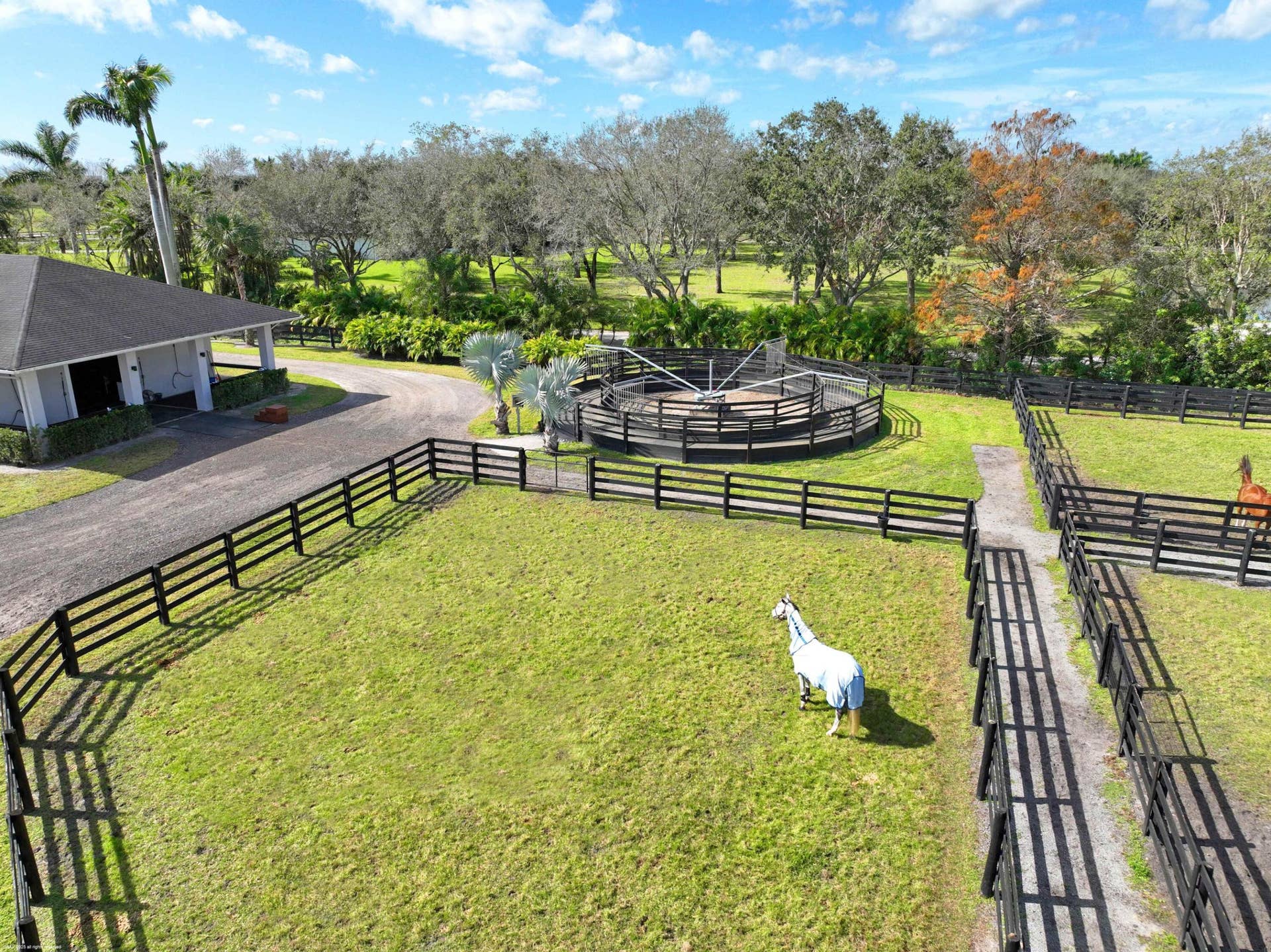 16361 Norris Rd 047