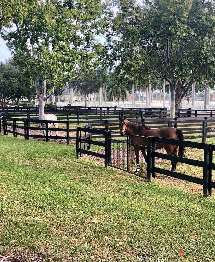 4491 Palm Breeze Trail, Wellington, Wellington, FL 33414 Farm