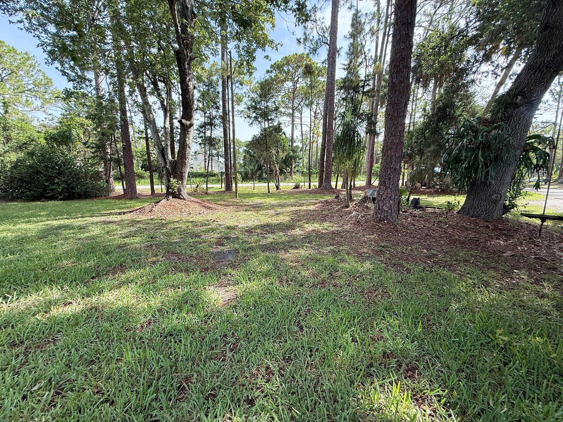 Front yard green space looking out toward paved road.