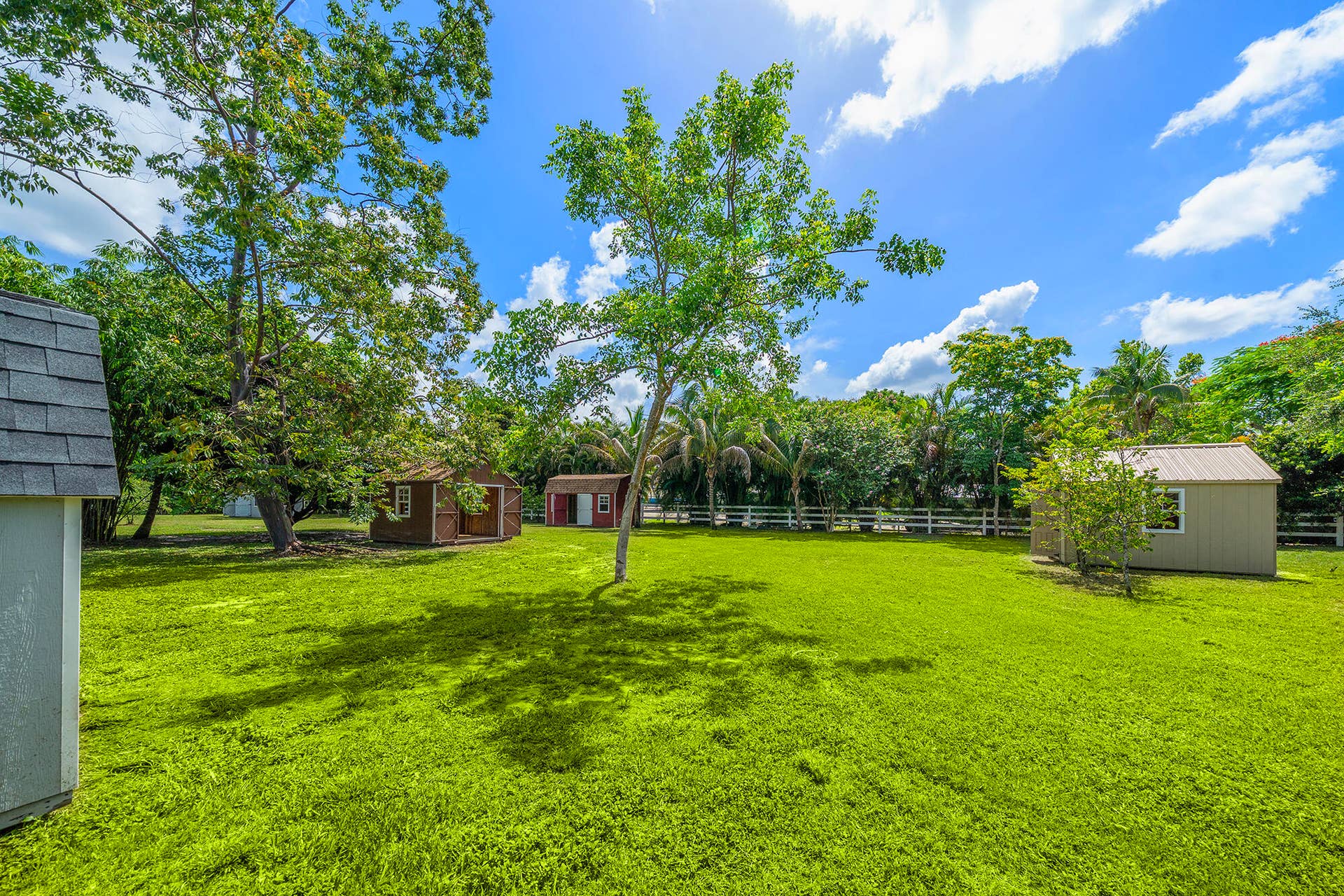 4950 Thoroughbred Lane, Southwest Ranches, FL 33330 Expansive green lawn featuring mature trees and multiple outbuildings