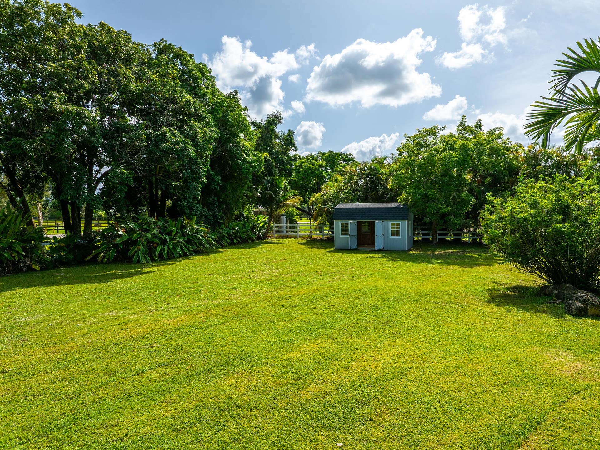4950 Thoroughbred Lane, Southwest Ranches, FL 33330 Expansive green lawn featuring mature trees and multiple outbuildings