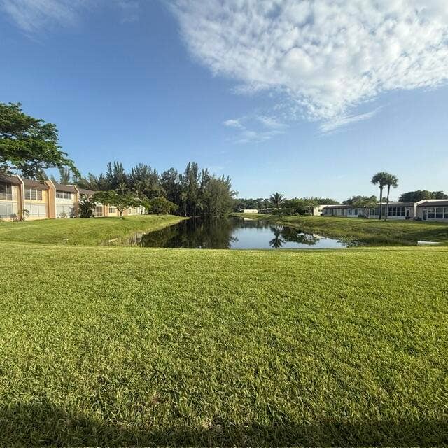 beautiful back yard views
