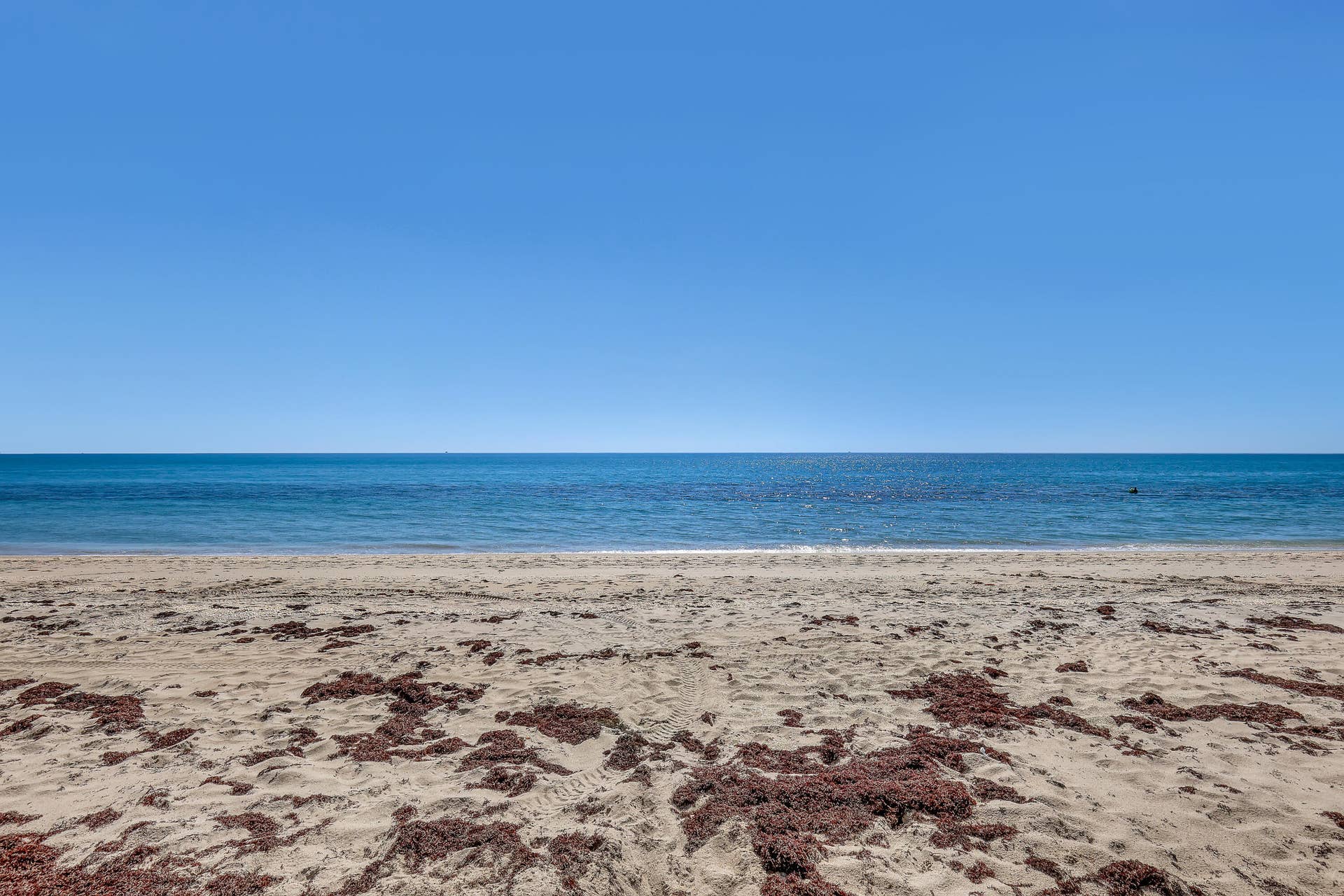 5200 N OCEAN Drive N, #1201, Singer Island, FL 33404 Corniche (27)