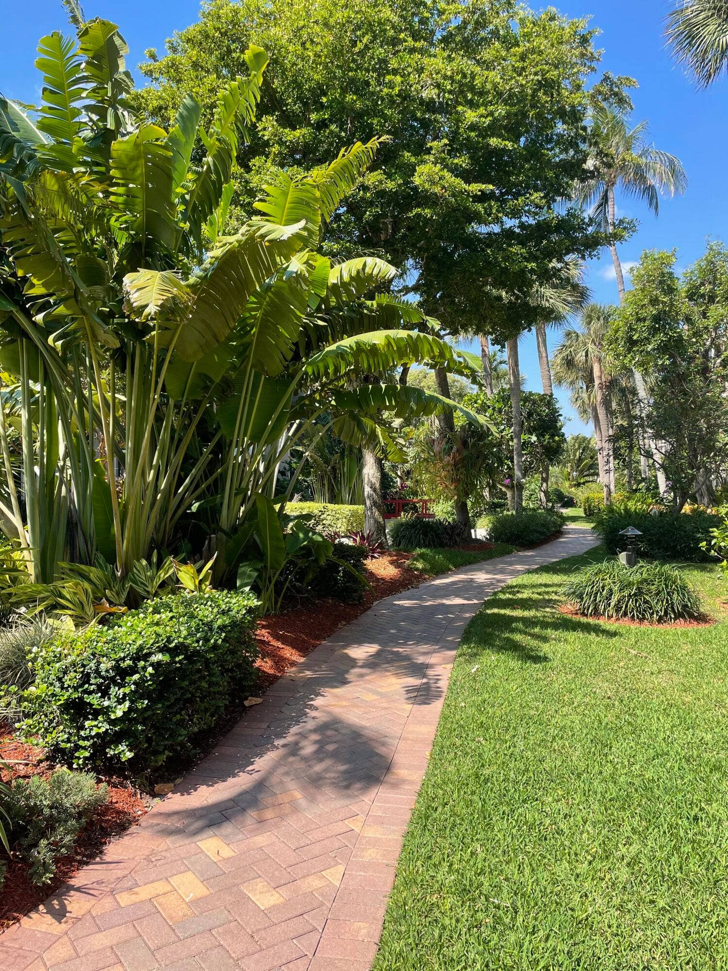 3605 S Ocean Boulevard, #311, South Palm Beach, FL 33480 gardenpath