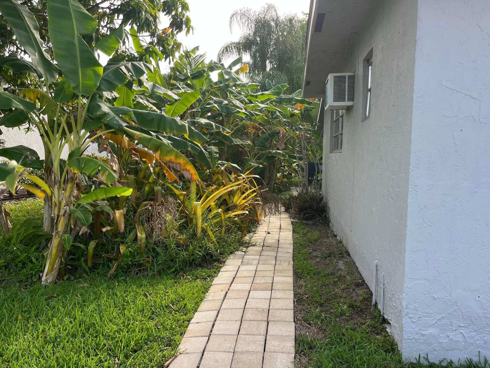 4804 MANGO Drive, Tamarac, FL 33319 IMG_20260710_092442
