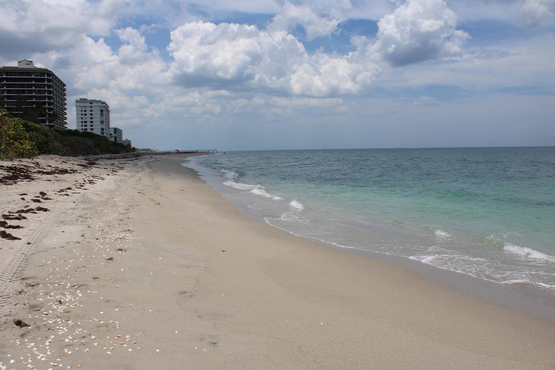 630 OCEAN Drive, #215, Juno Beach, FL 33408 IMG_0521