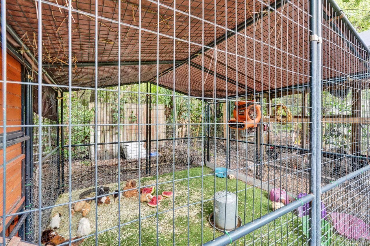 4209 180th Avenue N, Loxahatchee, FL 33470 DSC06217