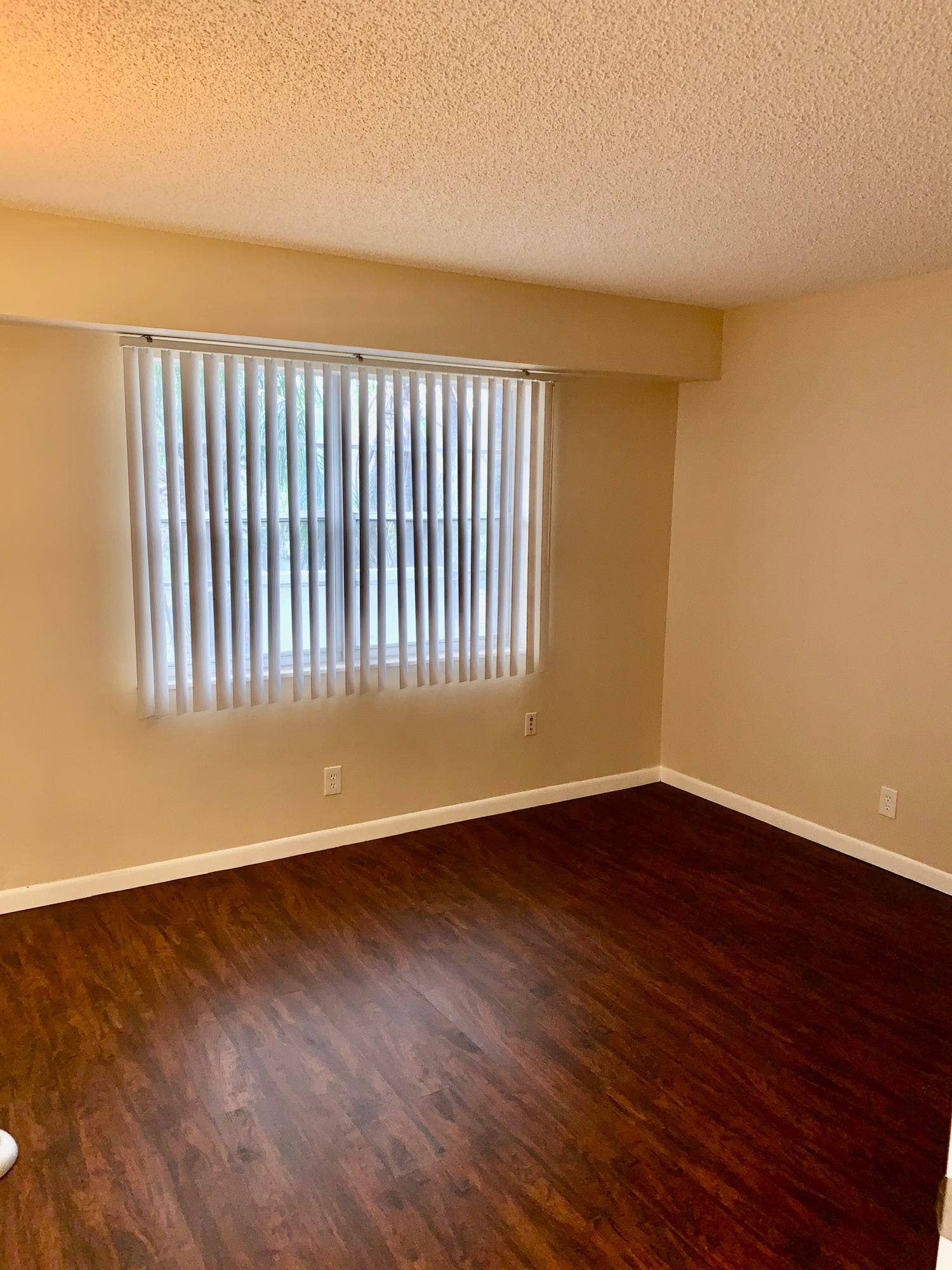 3100 W Rolling Hills Circle, #309, Davie, Davie, FL 33328 Spacious room featuring rich wood-finish flooring, neutral wall tones, and a large window with vertical blinds