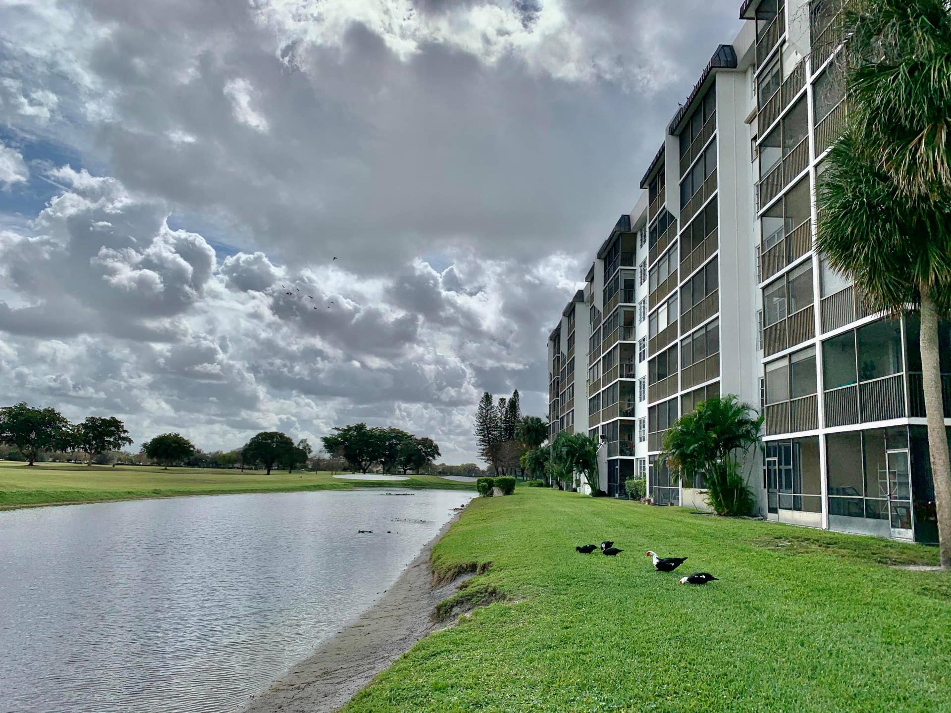 3100 W Rolling Hills Circle, #309, Davie, Davie, FL 33328 Multi-story residential building with screened balconies overlooking a waterway and expansive green space
