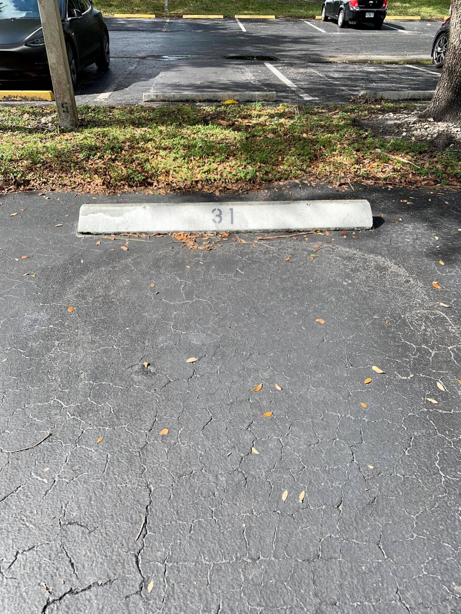 3100 W Rolling Hills Circle, #309, Davie, Davie, FL 33328 Designated parking space featuring a concrete parking stop with visible numbering, surrounded by asphalt paving and bordering a landscaped strip with ground cover
