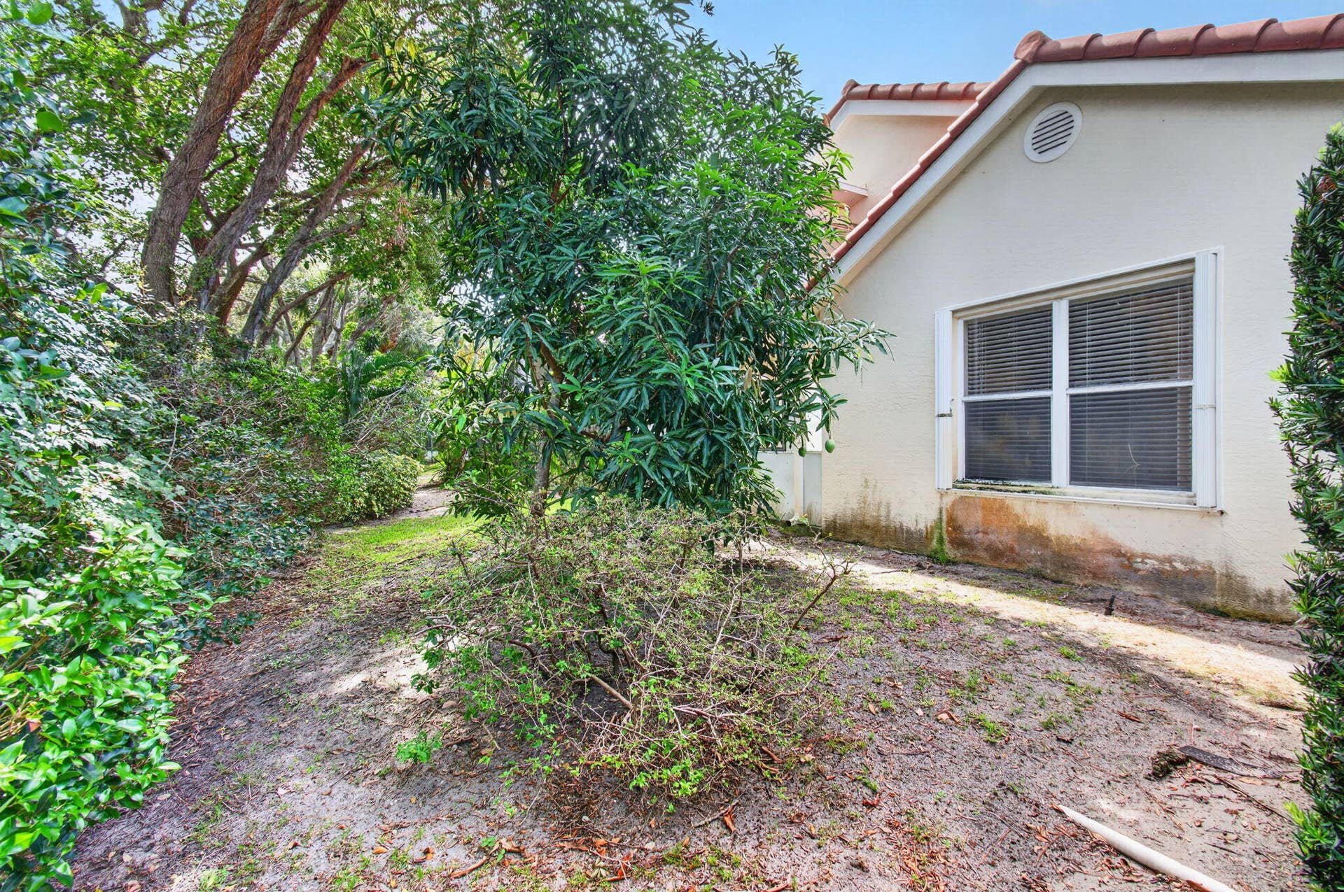 5225 Brookview Drive, Boynton Beach, FL 33437 73-web-or-mls-DSC_1725