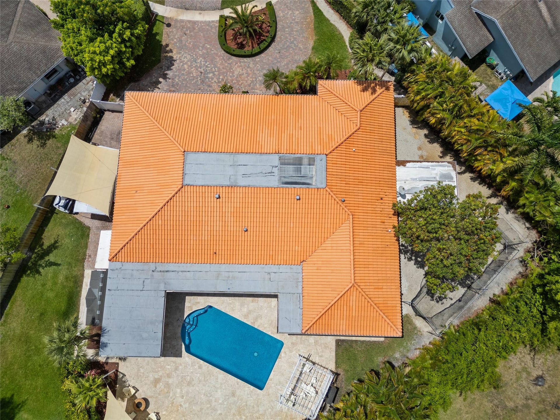 Terracotta tile roof structure featuring a rectangular swimming pool, concrete patio, and mature palm trees