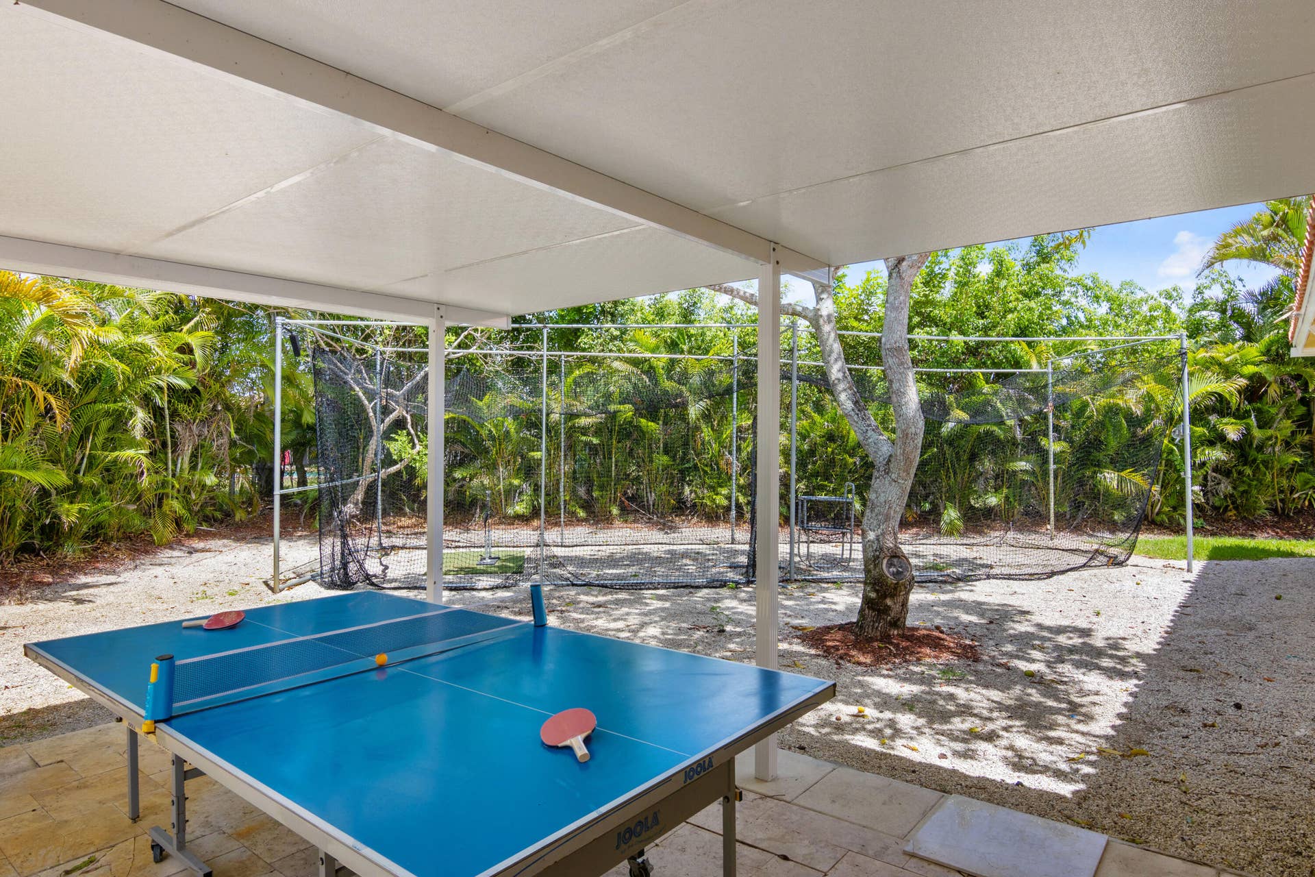 ping pong