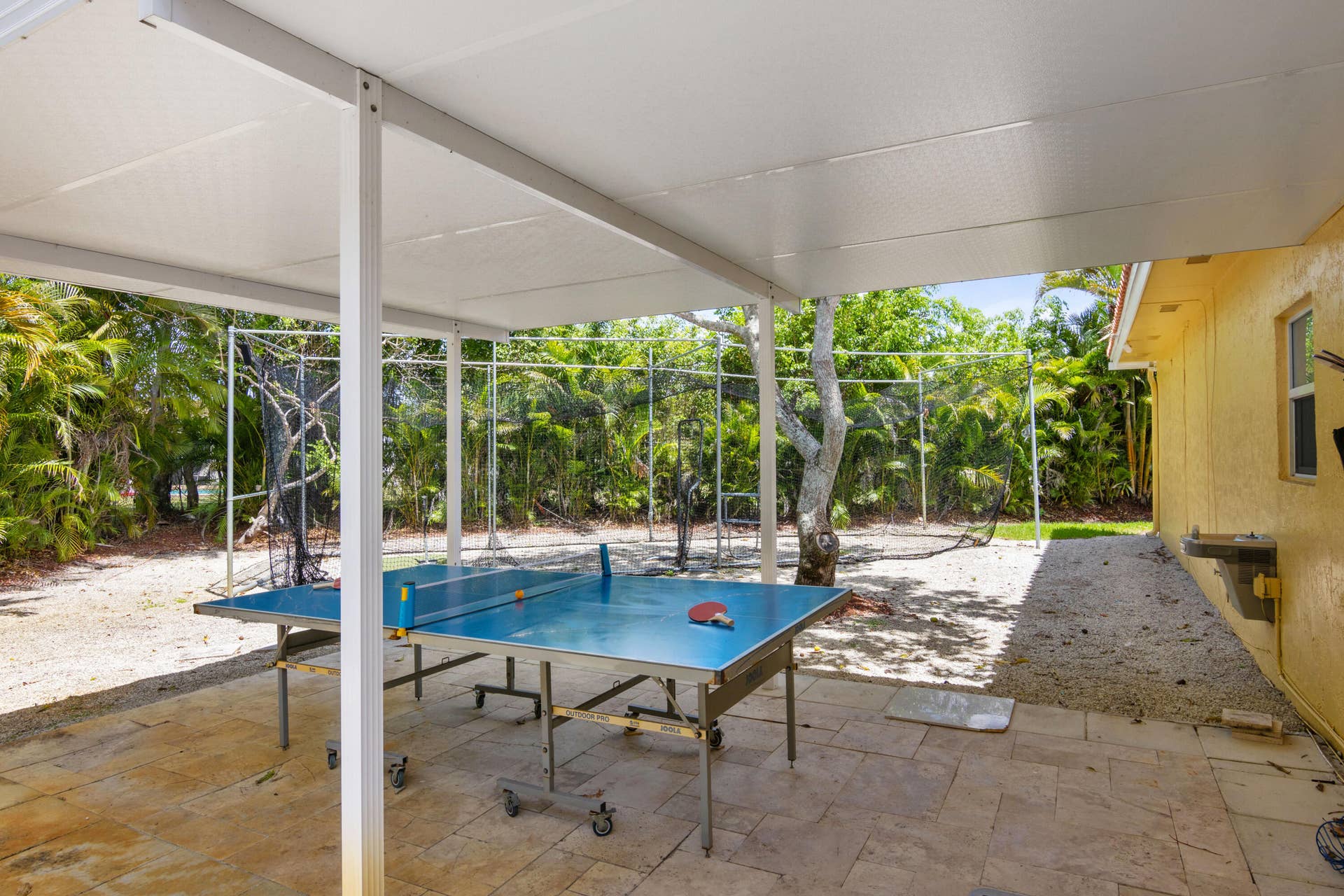 ping pong and baseball