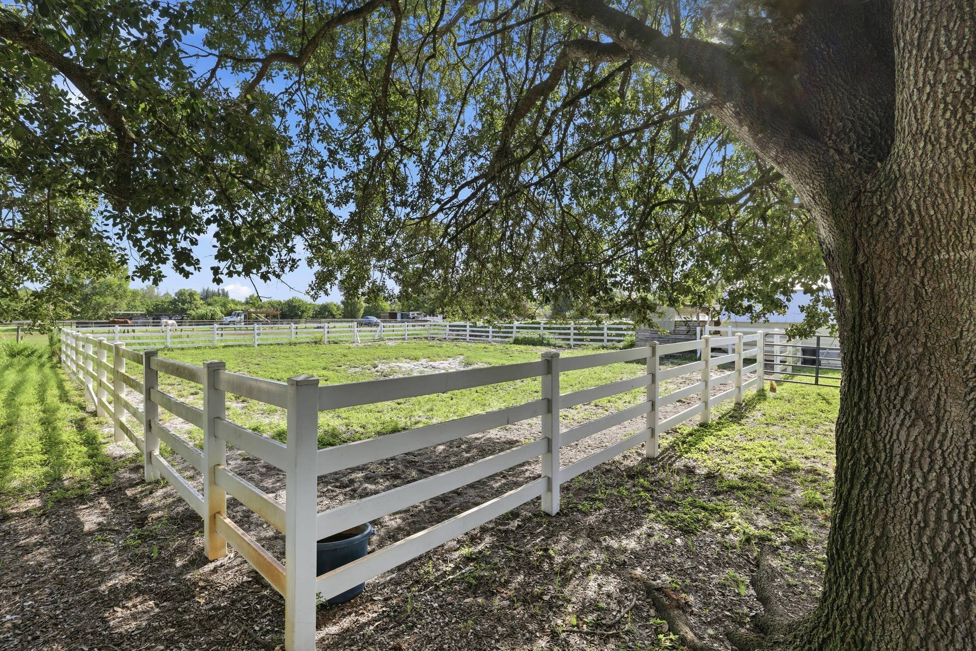 Paddock