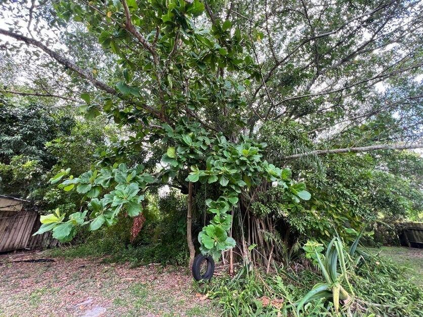 1732 NE 15TH Avenue, Fort Lauderdale, FL 33305 IMG_0525
