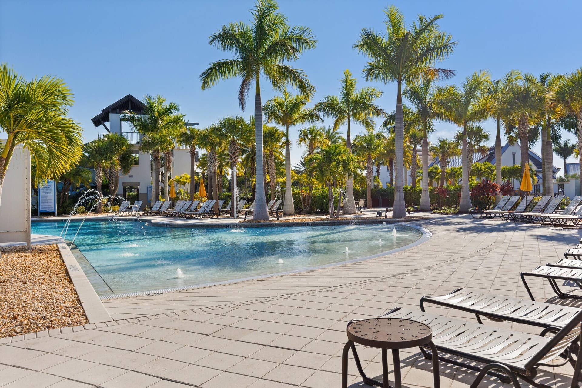 Lagoon Style Pool