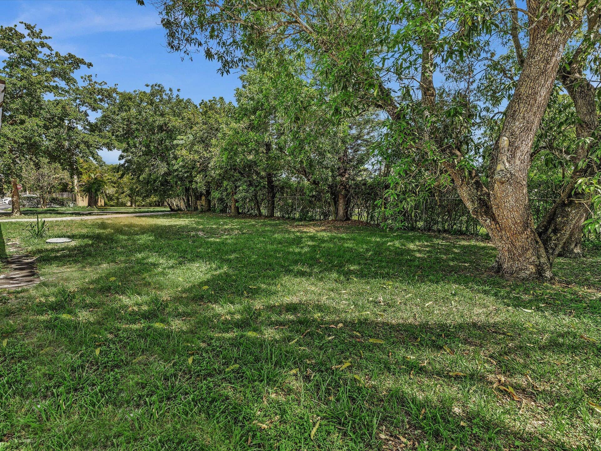 Expansive green lawn with mature trees providing dappled shade