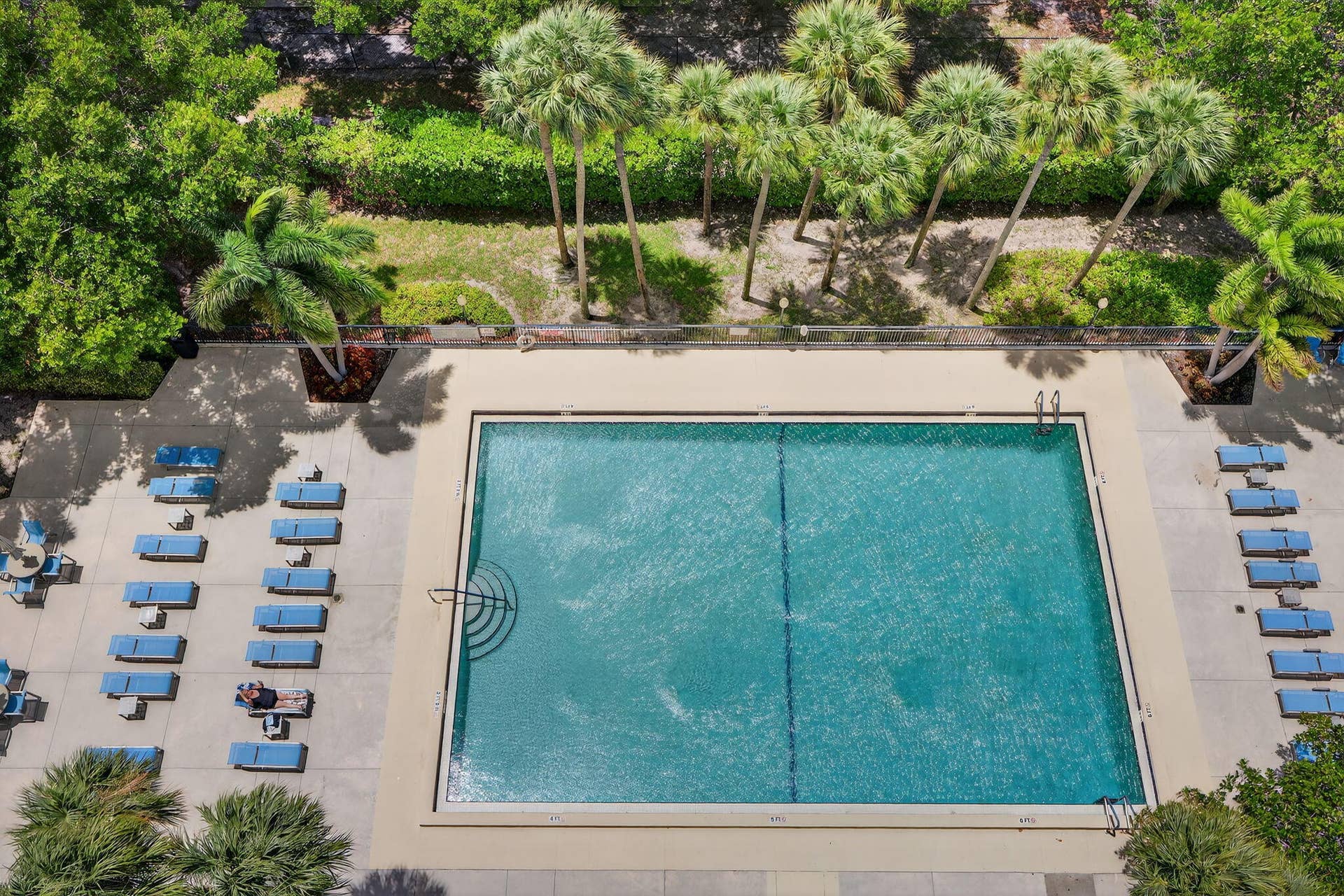 3200 Port Royale Drive N, #1205, Fort Lauderdale, FL 33308 41-web-or-mls-A699A9843