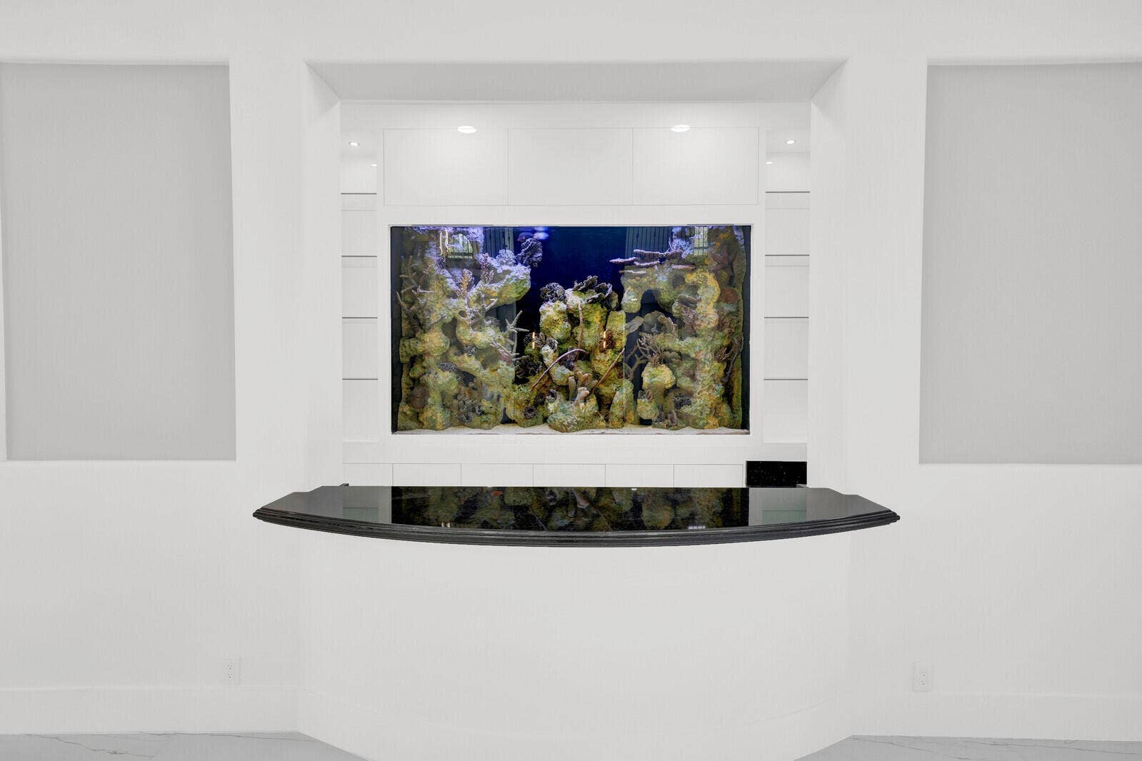 6041 NW 84th Terrace, Parkland, FL 33067 Salt Water Fish Tank