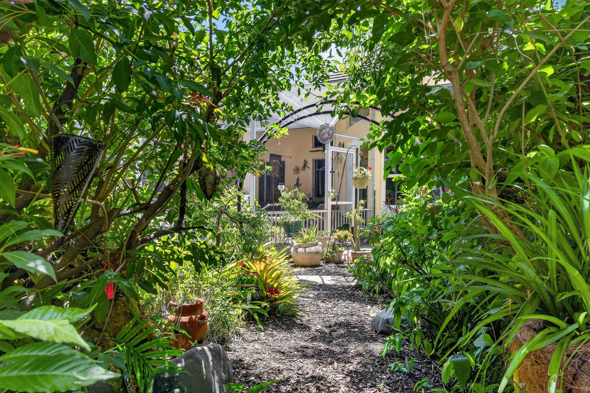 Backyard