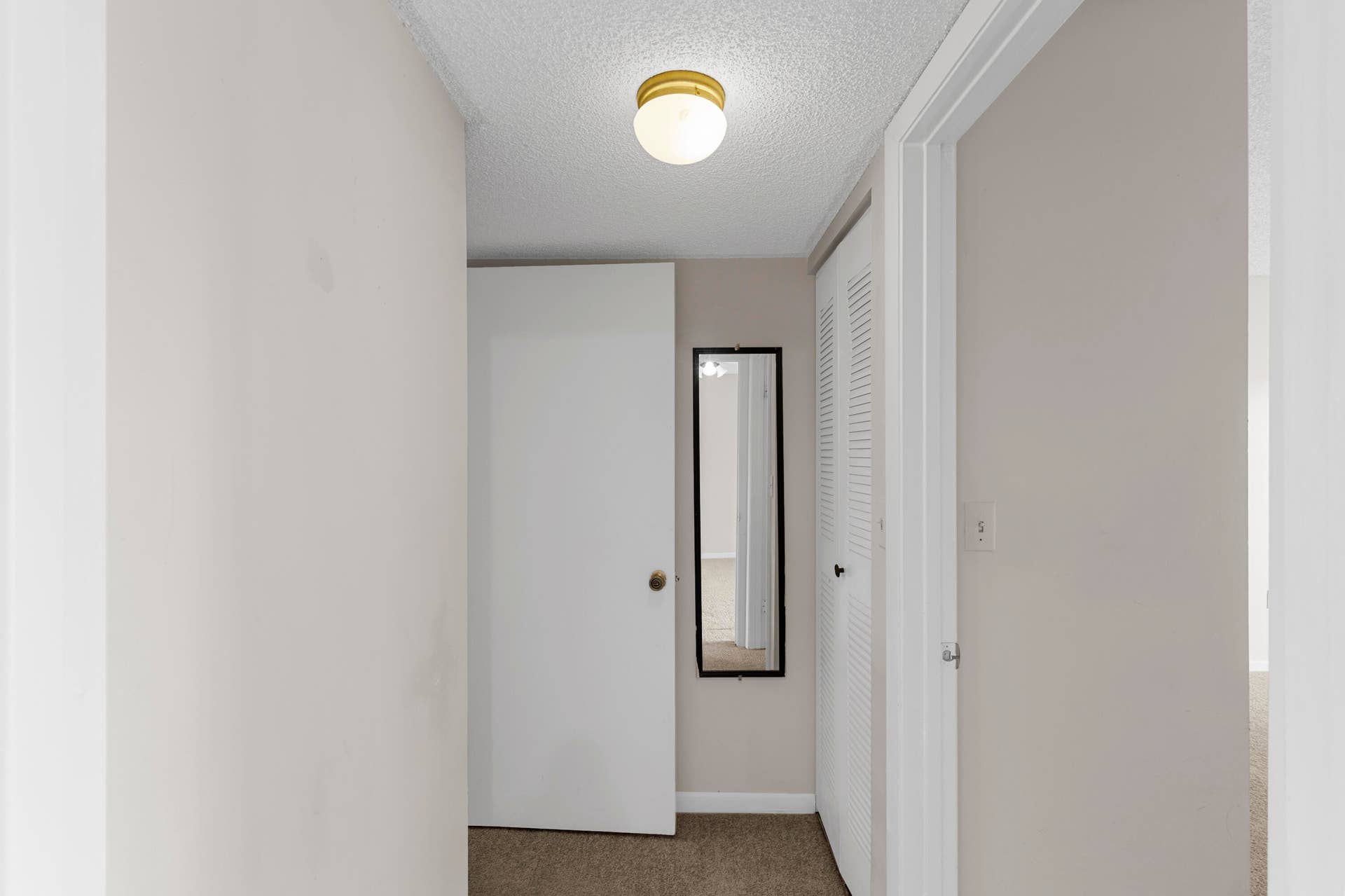 R6II5184