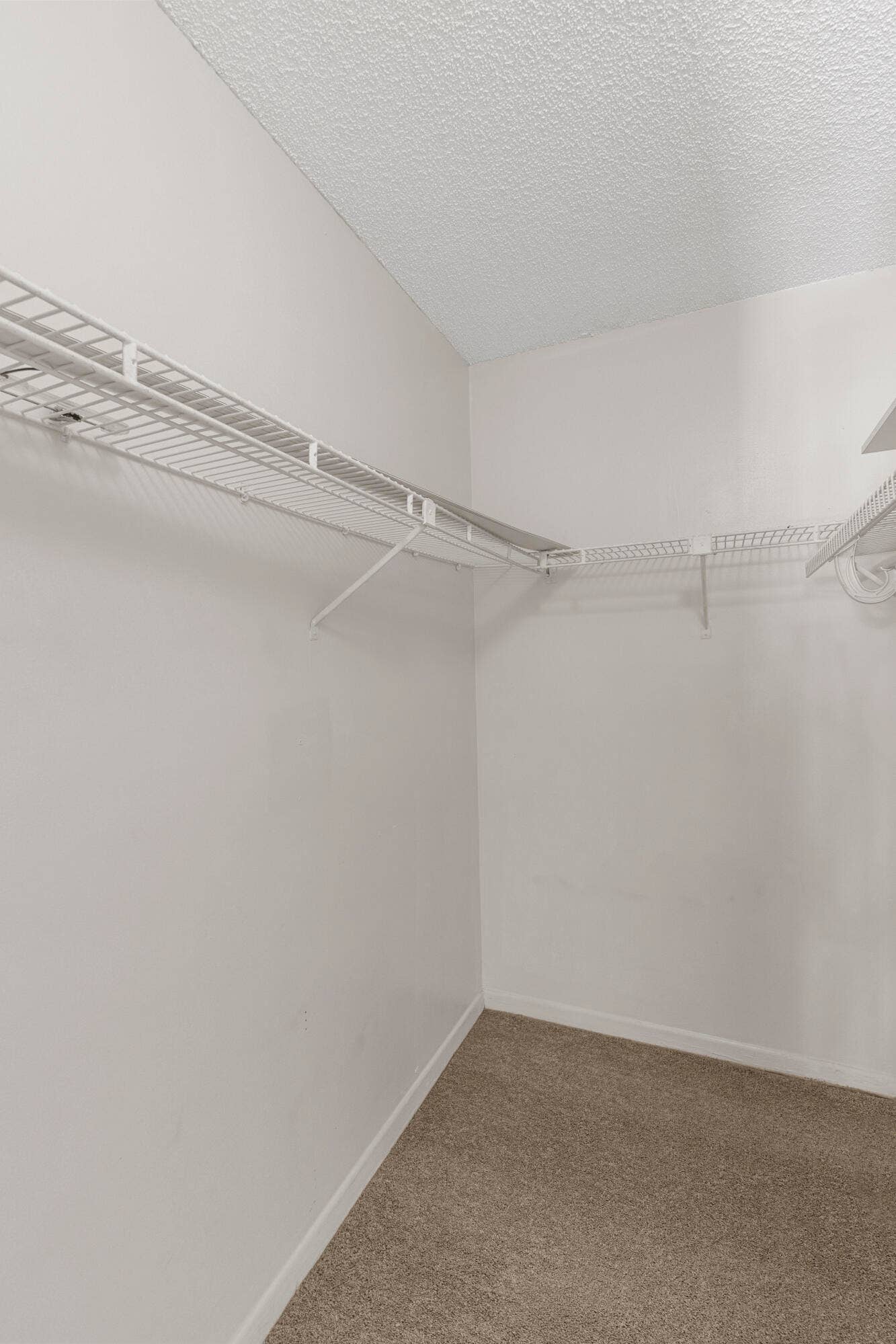 Walk in closet in primary