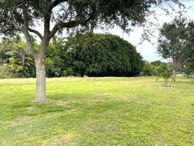 237 HIGH POINT Court W, #A, Delray Beach, FL 33445 Back yard view