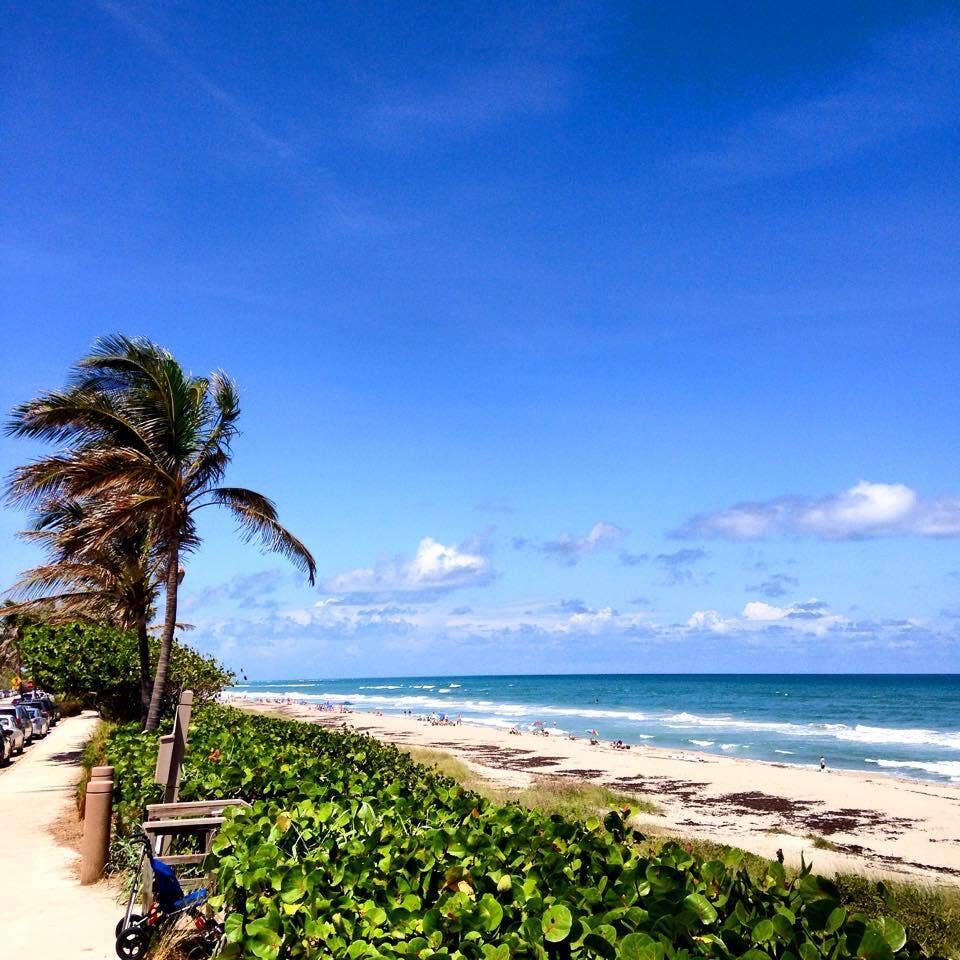 237 HIGH POINT Court W, #A, Delray Beach, FL 33445 094