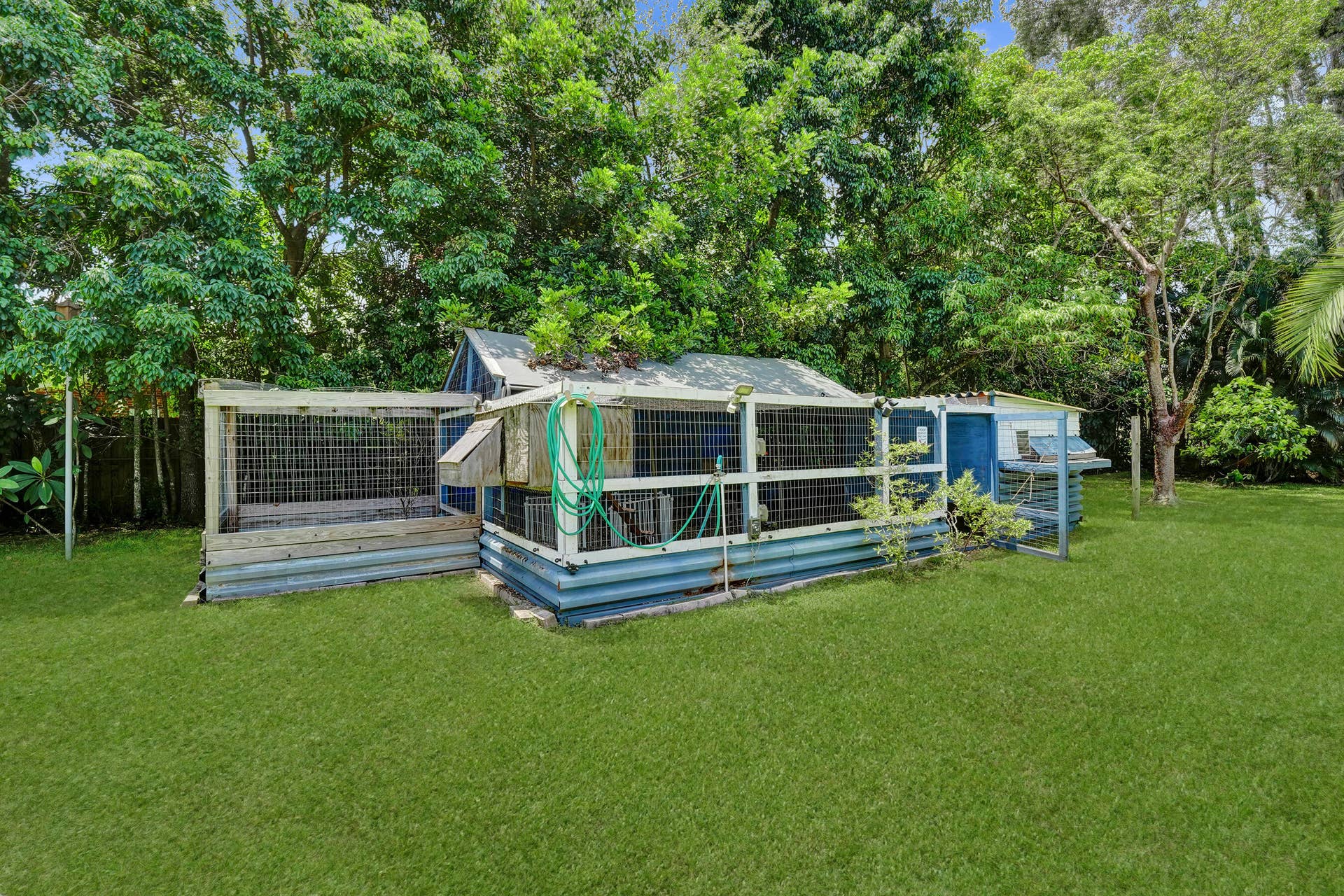 #1 Large chicken coop in shady area or use for pets.