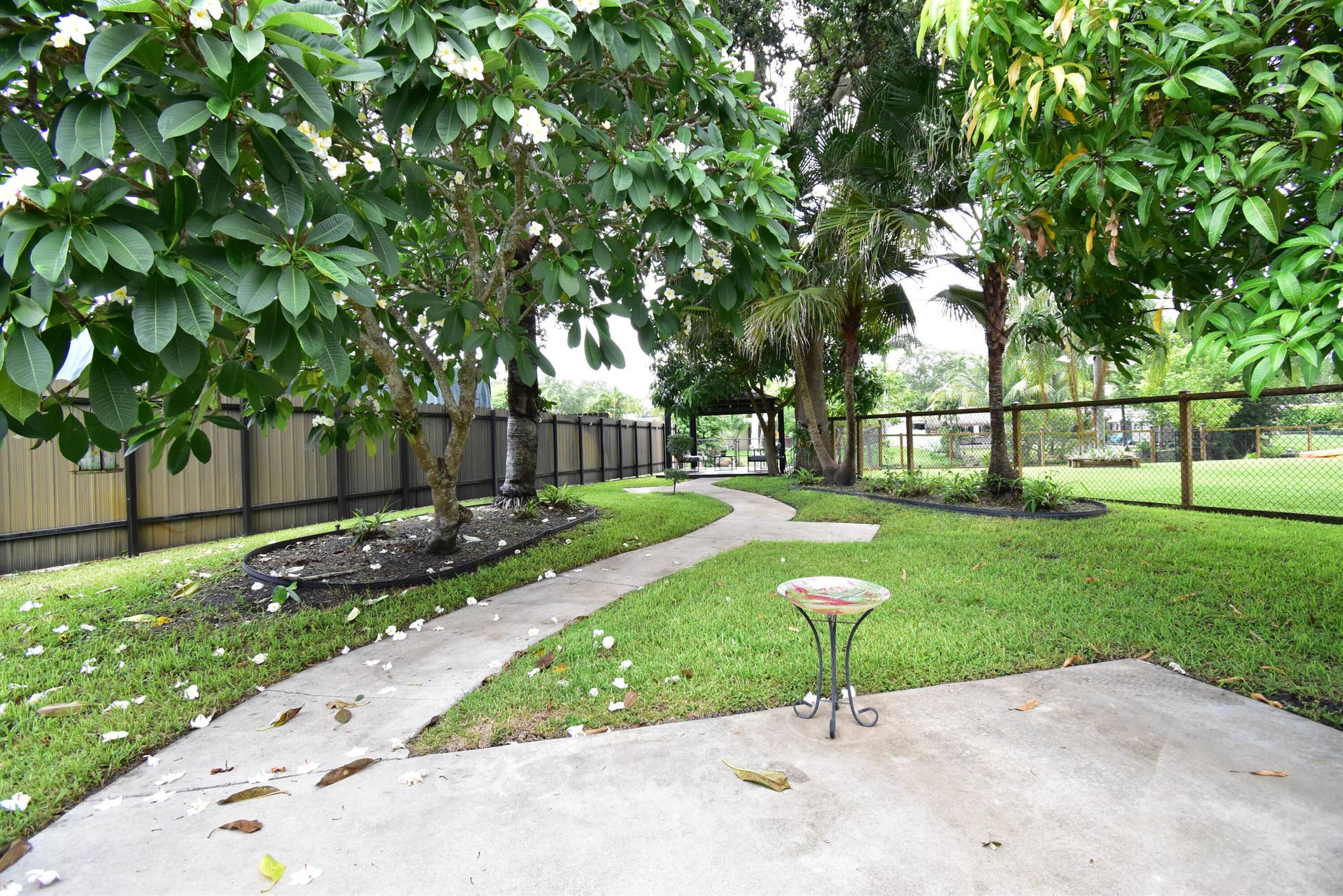 5061 SW 87TH Terrace, Cooper City, FL 33328 Expansive backyard featuring a concrete patio, winding concrete pathway, mature trees, and a chain-link fence